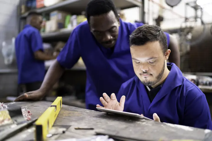 Investigate and explore jobs and skills