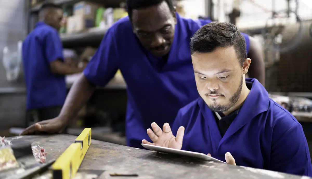 Investigate and explore jobs and skills