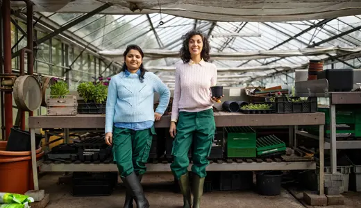 Enterprise project challenge 