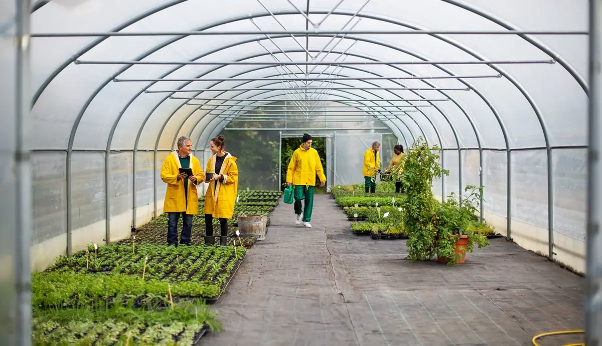 Core Skills for Green Jobs