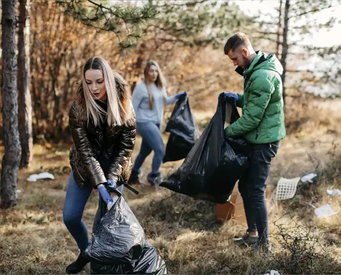 Understanding adaptability