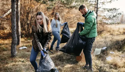 Understanding adaptability